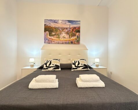 Double room near Tirso de Molina metro station Cab4